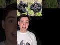 How To Survive A Gorilla Attack #Shorts