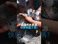 德國的水資源快要耗盡了嗎？