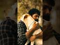 The Most HEARTBREAKING MOMENT 💔 | 777 Charlie | Rakshit Shetty | #primevideoindia #movie #trending