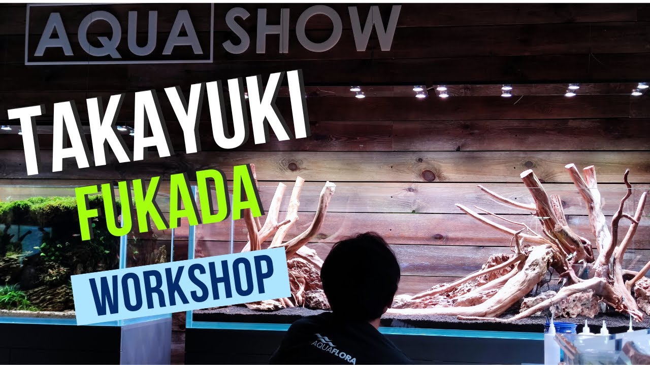 Takayuki Fukada workshop in Aqua Show