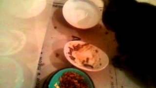 video-2011-02-22-18-27-18