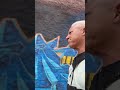 Walking the south Bronx