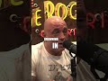 Joe Rogan on the "Fake" Online World 📱 #jre