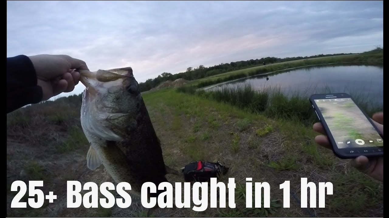 Bass Fishing NJ with lizard 25 bass caught in 1 hr (ft. Jdub fishing
