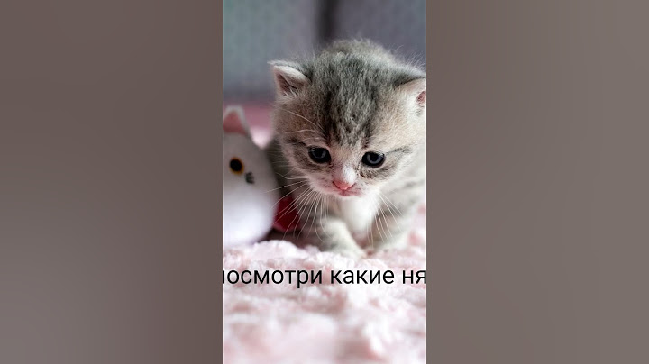 Немного не умистилось