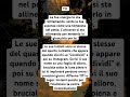 #manifestazione #tarocchi #universo #fyp #cortometraggi #bobine #leone #videovirale