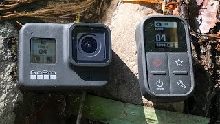 Дистанционный пульт для GoPro - TELESIN T02