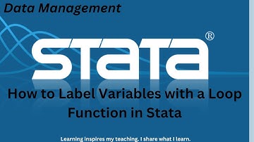 3. How to Label Many Variables Simultaneously with a Loop Function in Stata