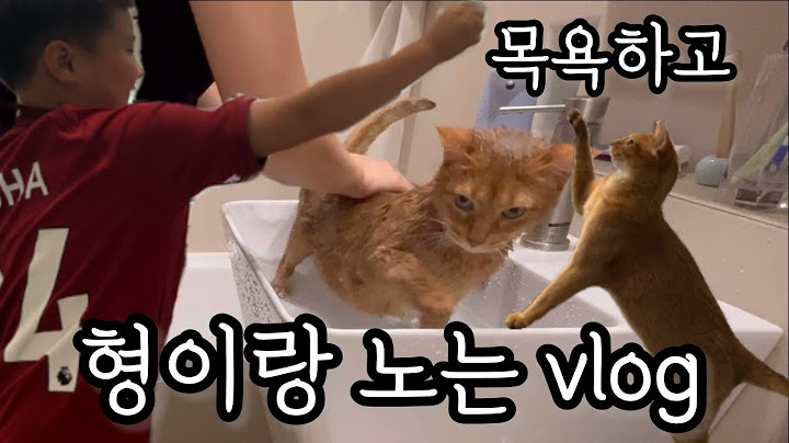 [vlog] 목욕하고 형이랑 노는 vlog(feat. 조카)