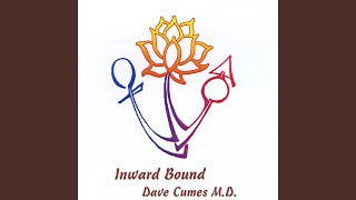 I'd Rather Have You Calling Me - Dave Cumes M.D.