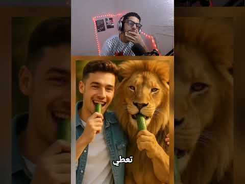 ضحك من الحيوانات أو الأطفال