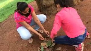 Nature Treasure hunt workshop