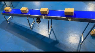 High Level Conveyor on incline Reversible at C Trak Ltd UK by C-Trak Conveyors 71 views 1 month ago 6 minutes, 53 seconds