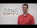 Принцип жемчуга | Андрей Лукашевич