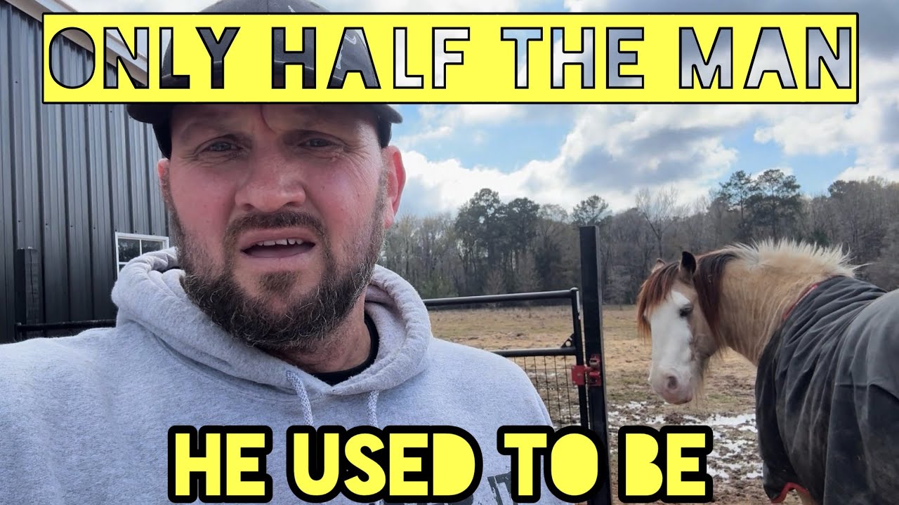 Searching for Horse’s Missing Tail! 