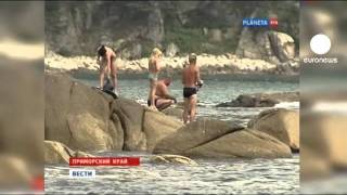 Rusyanın Uzakdoğusunda Köpek Balığı Dehşeti