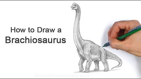 How to Draw a Brachiosaurus from Jurassic Park