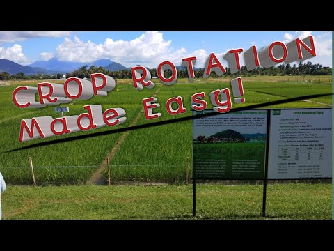 Video: Ano ang magandang crop rotation?