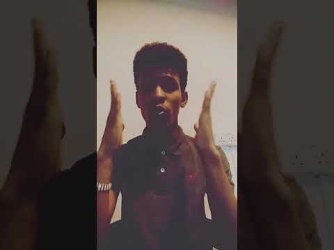 عثمان الطيب يوسف