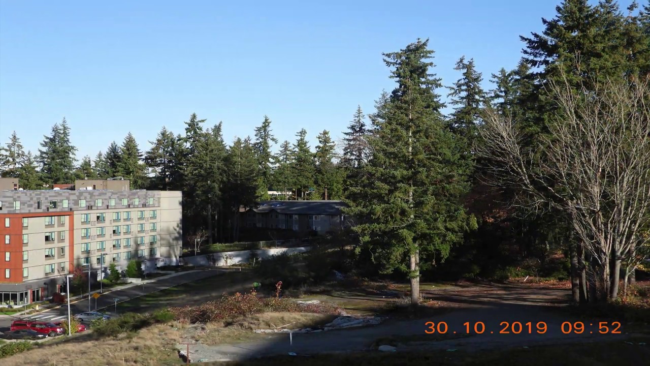 5 Days of Outdoor Timelapse in Seattle (Oct-Nov) Nikon P1000 (4K)