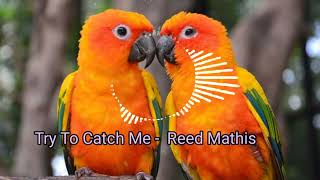 Reed Mathis Try To Catch Me