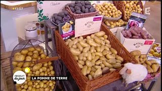 Notre produit du jour : la pomme de terre