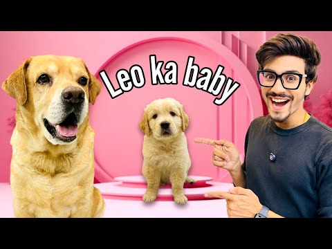 Leo Ka Baby