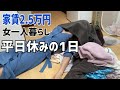 【家賃2万5千円】週5で8時間勤務を辞めた女の休日ライフ/休日ルーティン【アラサー独身女】