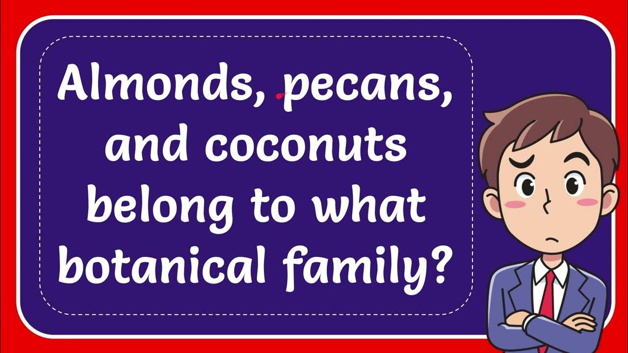 Almonds, pecans, and coconuts belong to what botanical family? YouTube