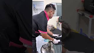 Yêu Thích PET   Phần 125 #pets #dongvat #animals