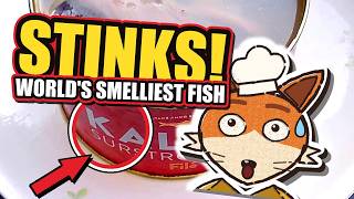 Why Sweden Opens Its Fish Outside (Surströmming)