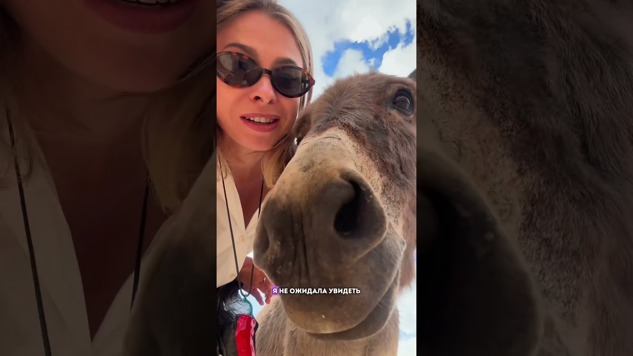 Лучший парк в Европе с африканскими животными