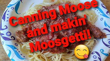 Canning Moose #Alaska #Canningmoose