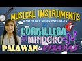 MUSICAL INSTRUMENTS & OTHER SOUND SOURCES FROM CORDILLERA,  MINDORO,  PALAWAN & VISAYAS | CHEONG KIM