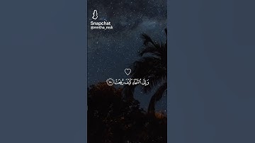 أفلا ينظرون الى الإبل كيف خلقت .قرآن كريم بصوت رائع