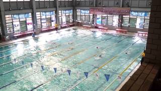 [20121215~16海洋盃]  100仰  林益全(2) 1:04.39 / 陳威廷(5) 1:08.88 / 張政傑(6) 1:06.33