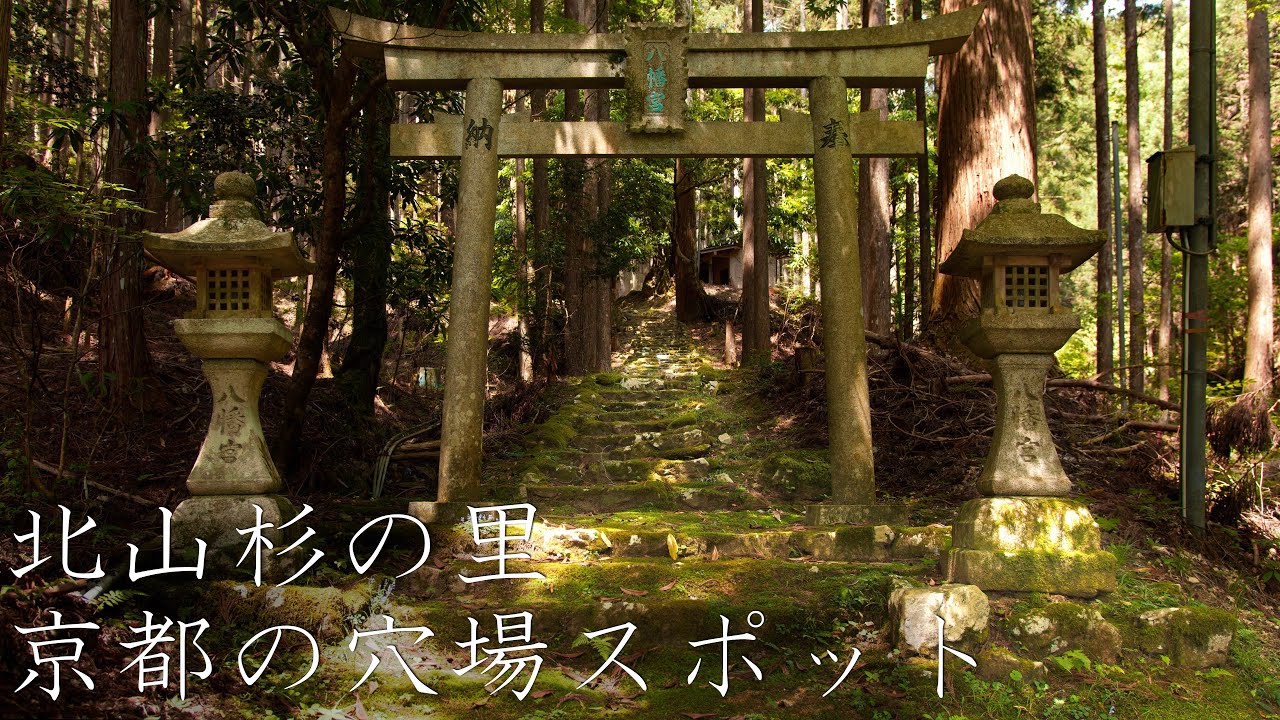 北山杉の里】京都の穴場スポット③ : Kitayama Cedar and Mayumi