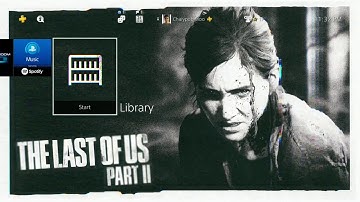 Dynamic Theme The Last of Us Part II Grunge Theme (For PS4)