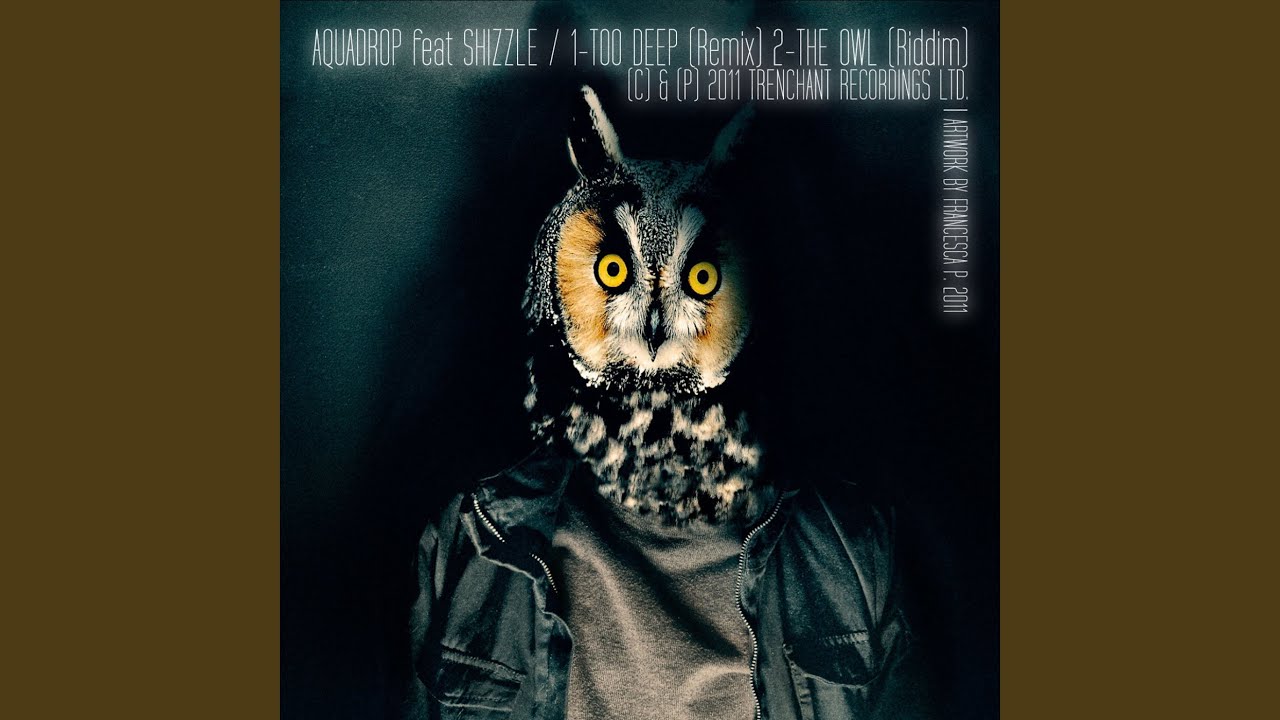 The Owl Riddim