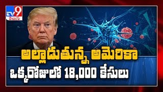 US records 18,000 new coronavirus cases in single devastating day - TV9