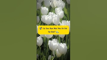 📽️ Tại Sao Bạn Nên Yêu Cô Gái Cự Giải? 🌊 #12cunghoàngđạo #chiêmtinhhọc #12cunghoangdao1