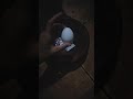 Acabe de uma vez por todas com quem lhe fez MAL magia negra antiga ensinada