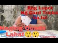 Simple Card Tricks / 13 na quads card tricks / RIAL TV
