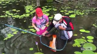 Bundaberg Toyota Den Barra - Season Open