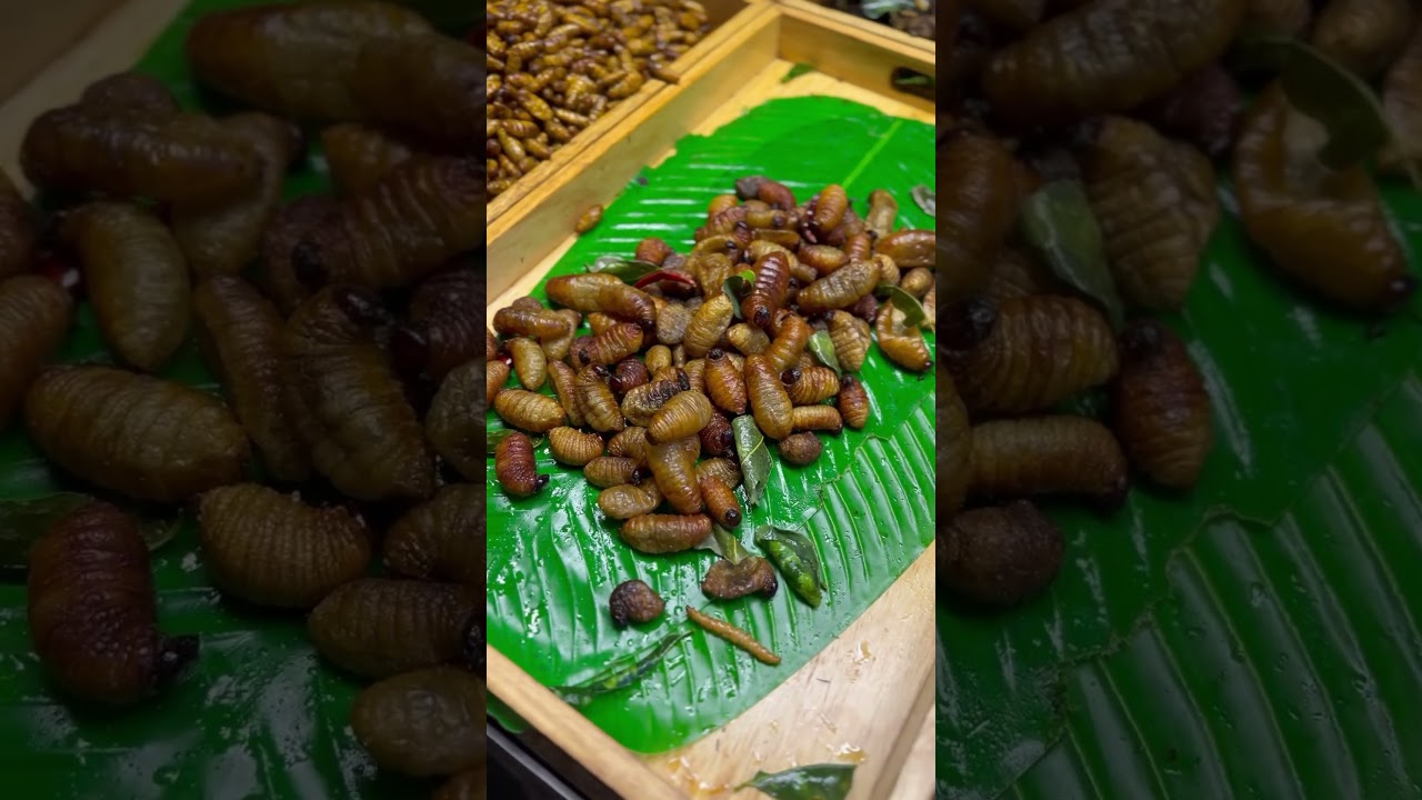 MAKAN KALAJENGKING DI THAILAND😱🇹🇭 #bangkok #bangkokstreetfood #thailand #thaifood