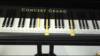 Tak Bak (Thangamagan) Piano Tutorial