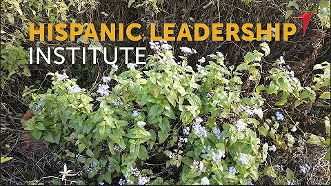 Hispanic Leadership Institute