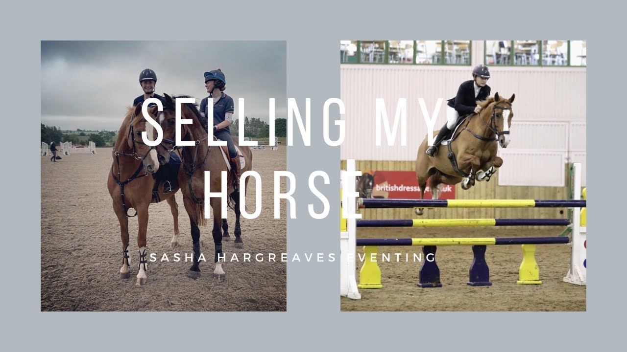 Selling my horse and a Yard update