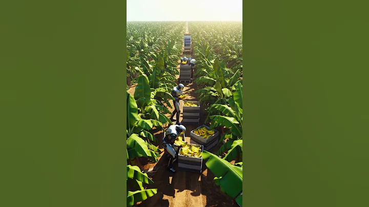 FUTURE ROBOTS WORKING ON BANANA FARM. #farming; #robot