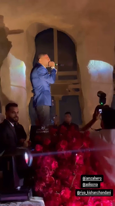 Brown Rang Yo Yo Honey Singh Live Performance at Sonakshi Sinha Wedding #BrownRang #HoneySingh